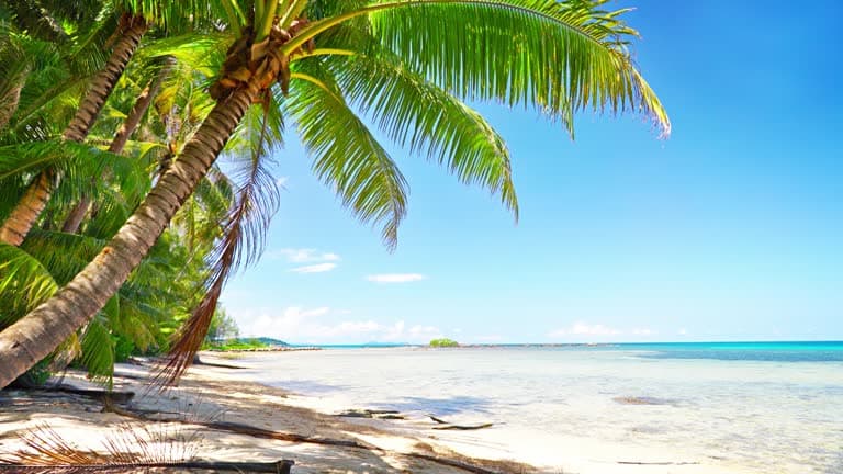 Beautiful tropical travel destination